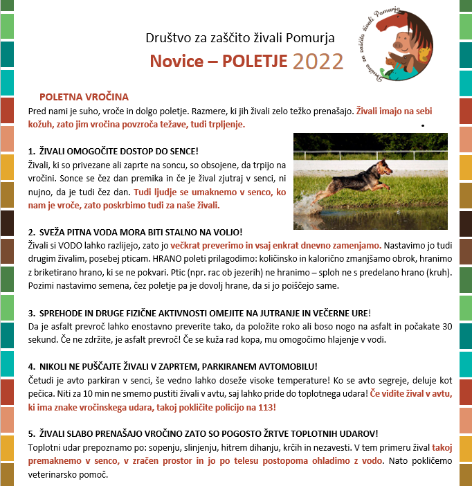 POLETNA VROČINA - PRISPEVEK DZŽ Pomurje